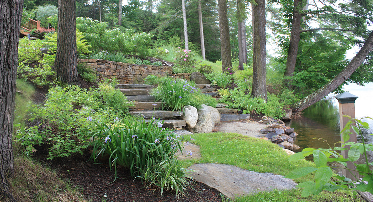 Lakeside Greenery