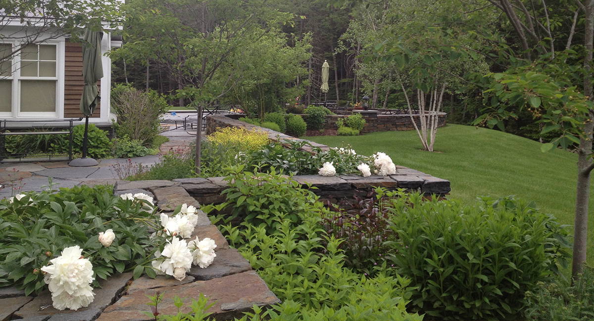 Plantings surrounding stonewalls