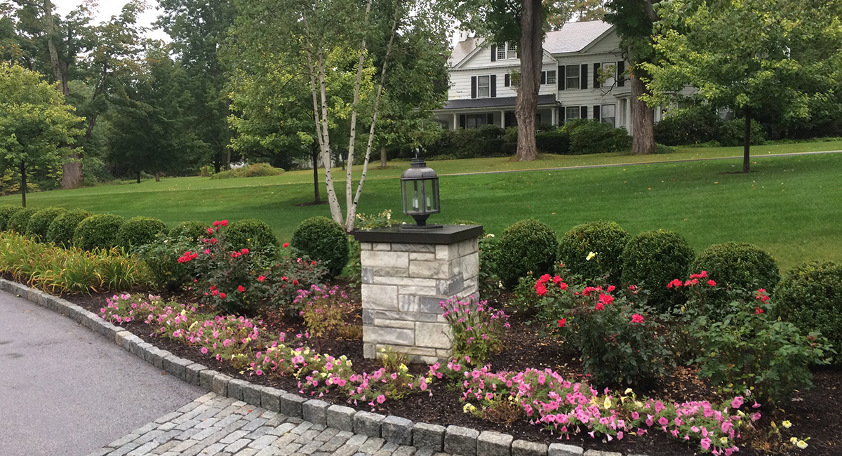 Landscape design to accompany the stone driveway