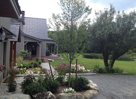 Picture of green house with walkway and gardens and flowers in the entrance