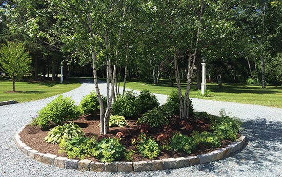 Photo of driveway median landscaping