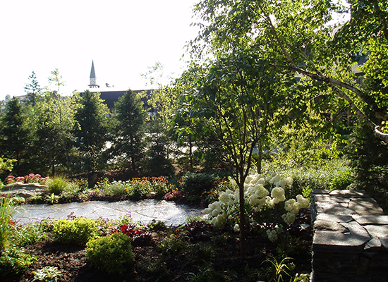 Picture of stone patio with diverse garden