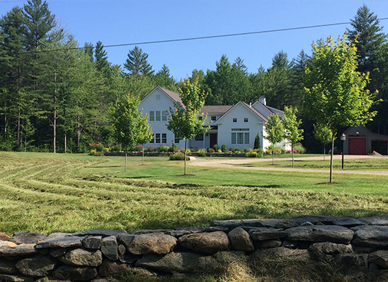 Picture of large freen lawn and small trees