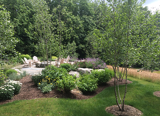 Photo of a lawn with small trees and shrubs